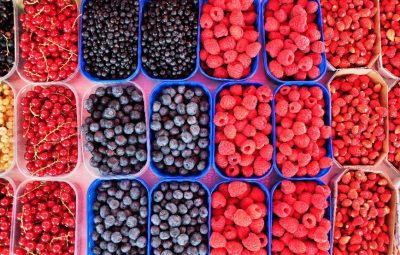 berries for anti aging diet and nutrition
